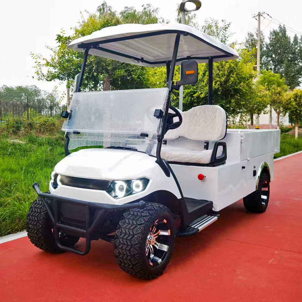 SEEWORLD Electric Golf Cart Cargo Box 2 Seater 3.5KW AC Motor 60V 100A Lead Acid Battery 30-50km/h Speed 70-90km Range CE