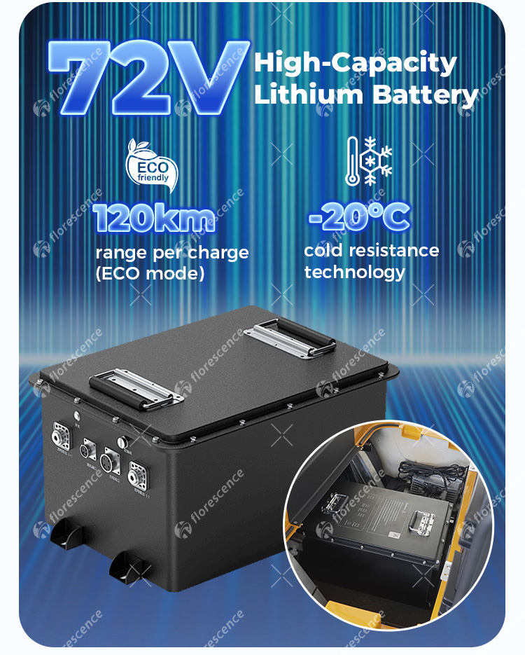 Electric Utility Vehicle Performance View