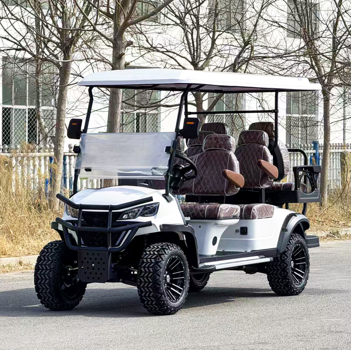 Golf Cart Highlight 6