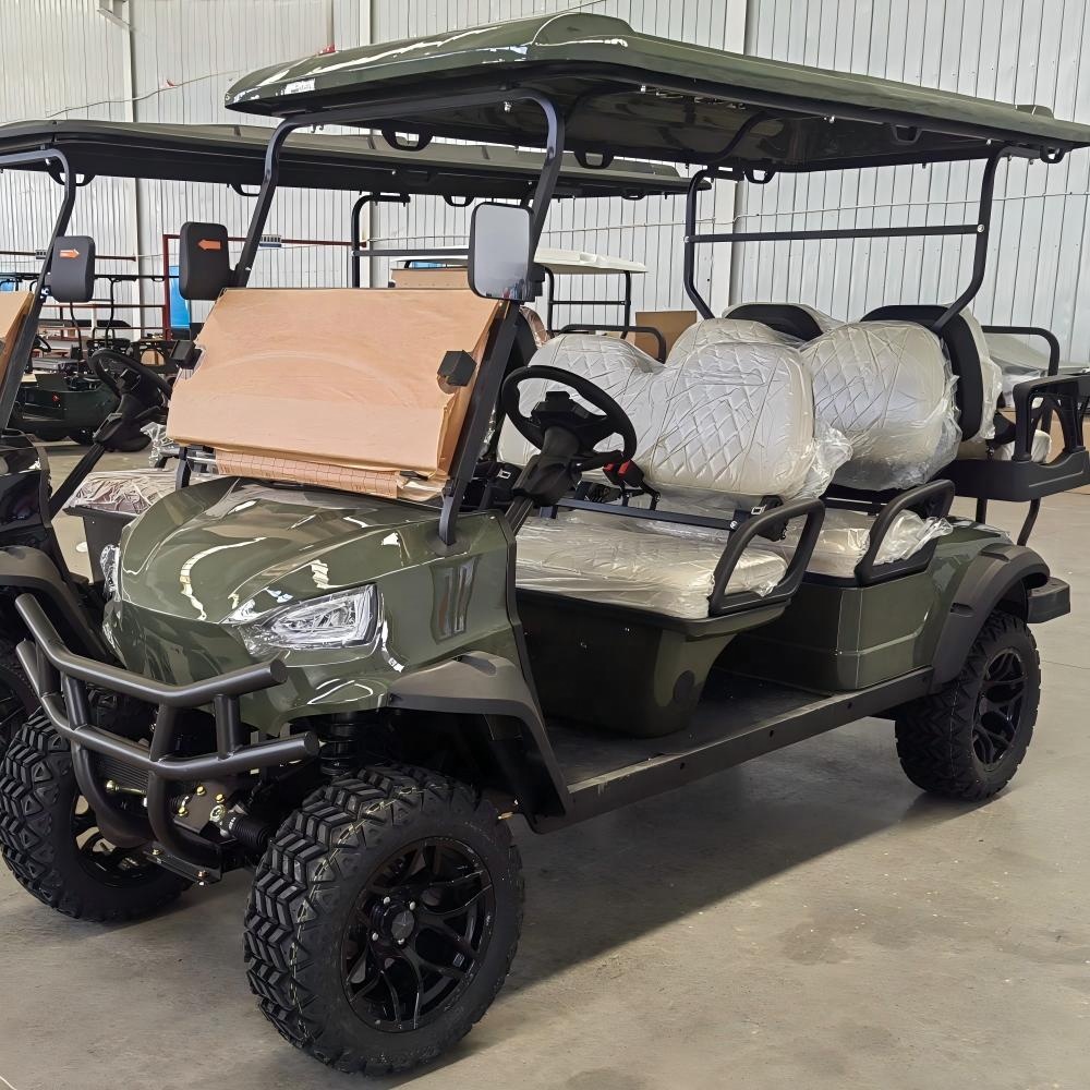 Professional Golf Cart &amp; Sightseeing Buggy Customizable Lithium Battery &amp; Motor Power Full Personal Customization Service
