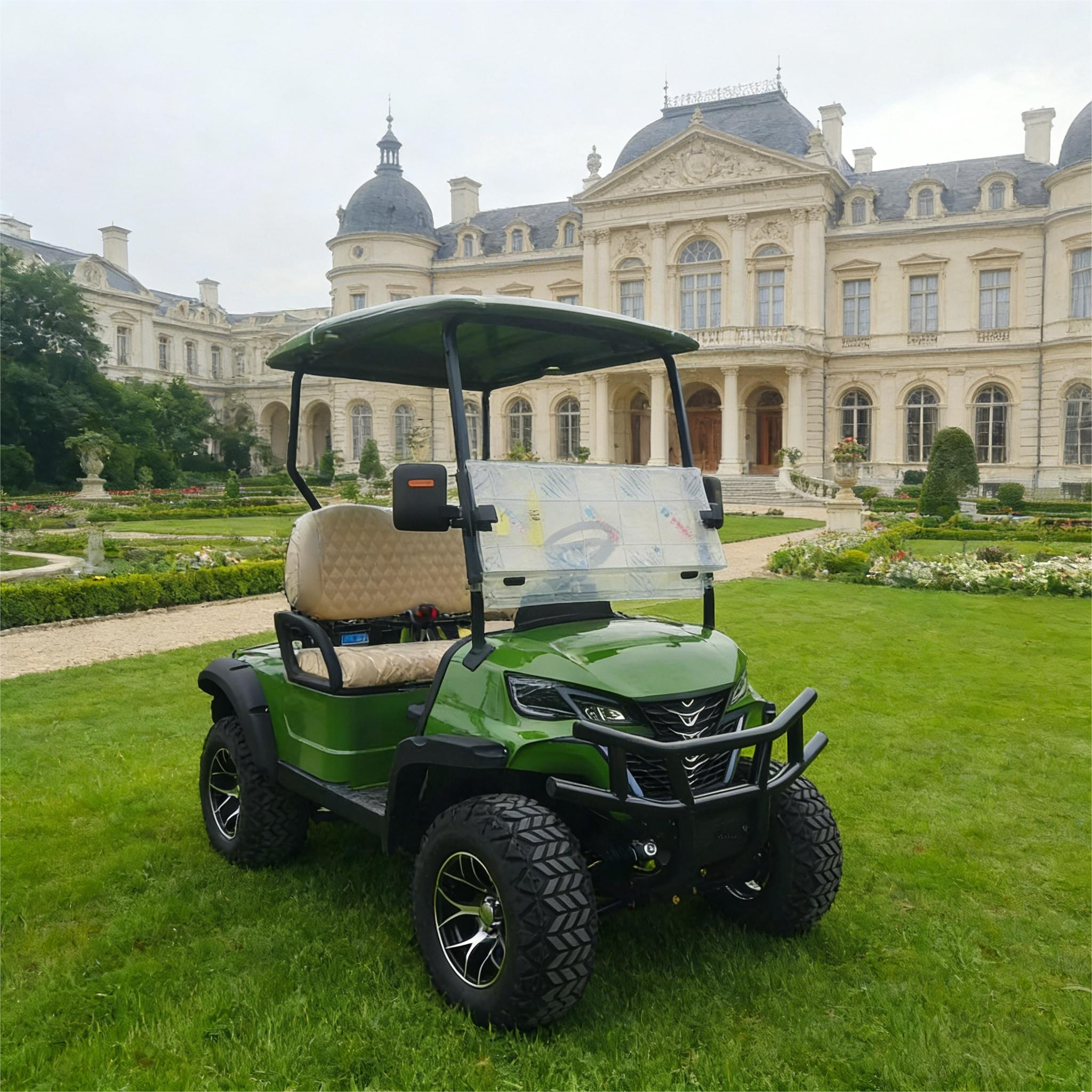 Electric 2 Seater Golf Cart with Cargo Box with 18x8.5-8 8 inch Tire