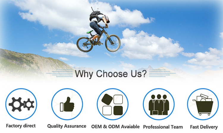 Why Choose Us