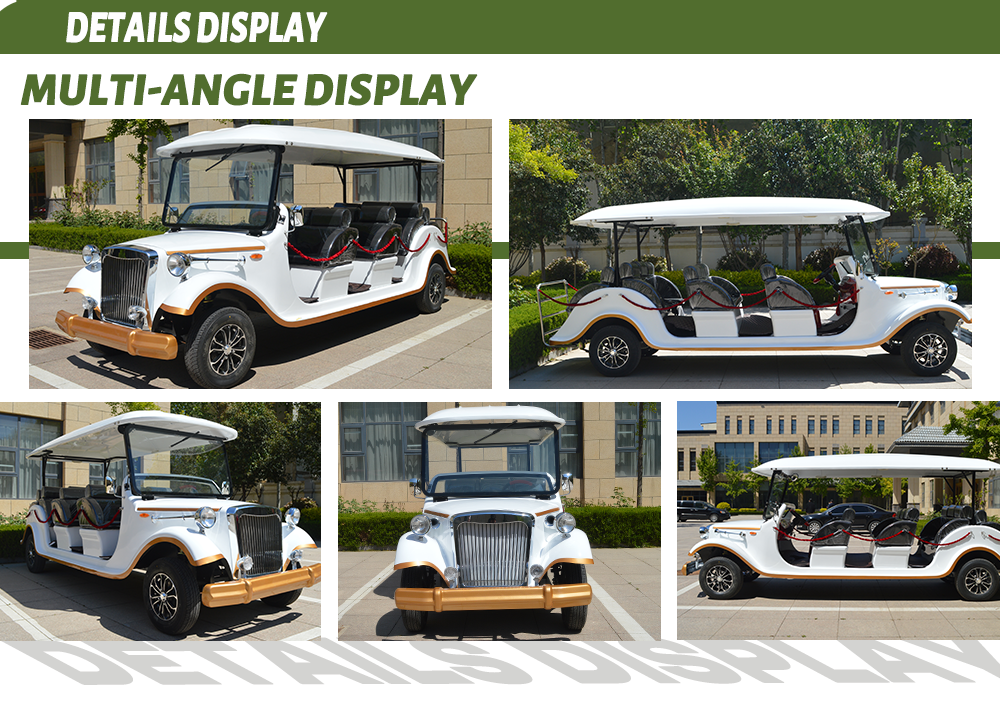 Electric sightseeing vehicle detail