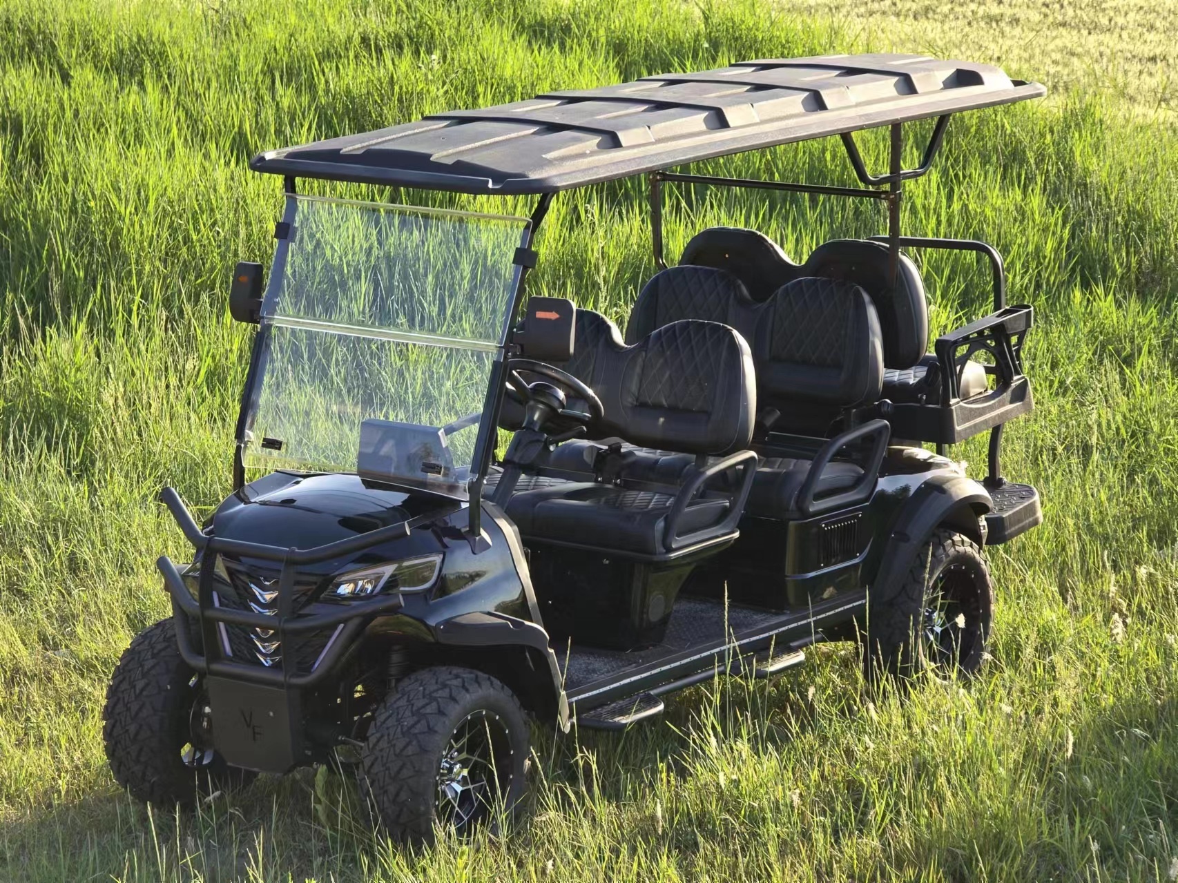 Golf Cart Detail 5