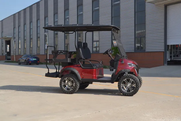 Winner-GC 2S+2S Golf Cart Detail View