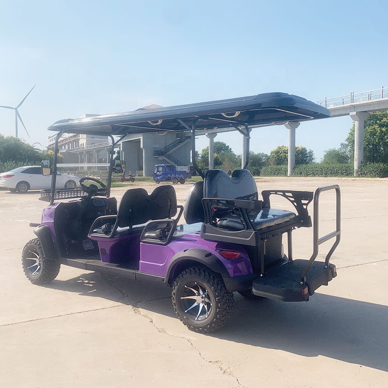 Golf Cart Detail 3