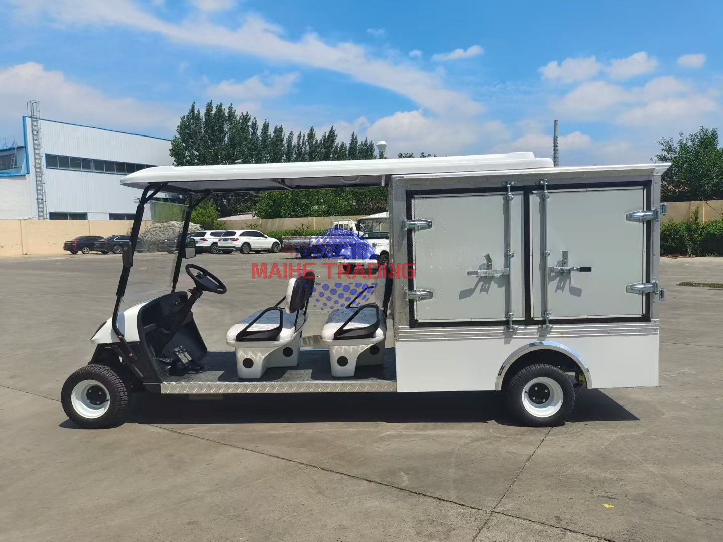 Chinese Factory Exports Customizable High Quality Electric Golf Carts