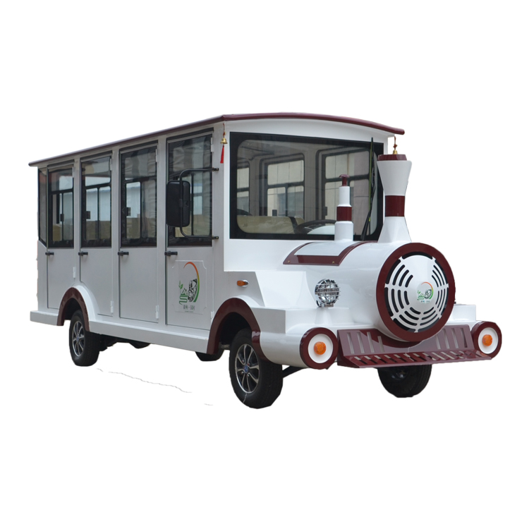 Electric Sightseeing Bus
