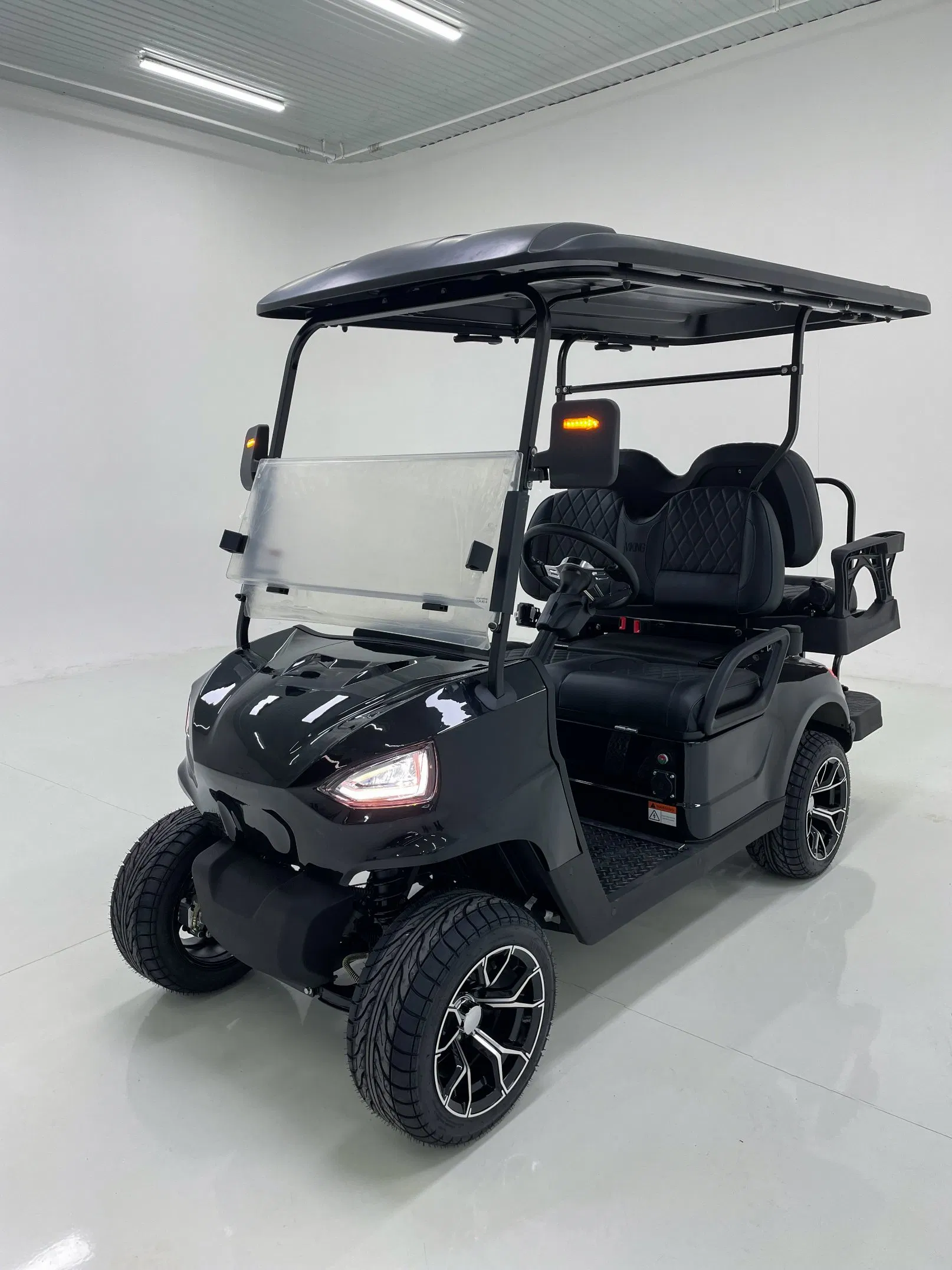 Stylish Look Anti - Roll Bars Electric Golf Cart for Camping Access