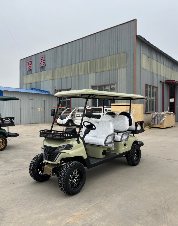 WELIFTRICH Supplier Utility Club 4 Wheel Drive Buggy Car 2+2 Seats Golf Carts Electric With Folded Back Seat