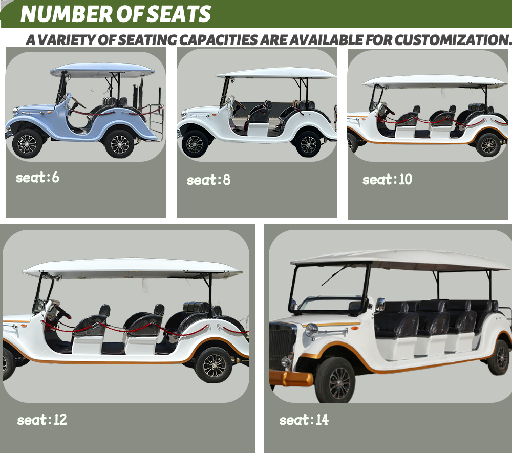 Electric sightseeing vehicle interior