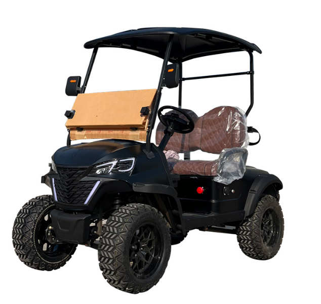High - Quality Upgraded 2 - Seater Golf Cart: Ideal for Golf Courses and Large Park Lawn Mobility, with Customizable Exterior