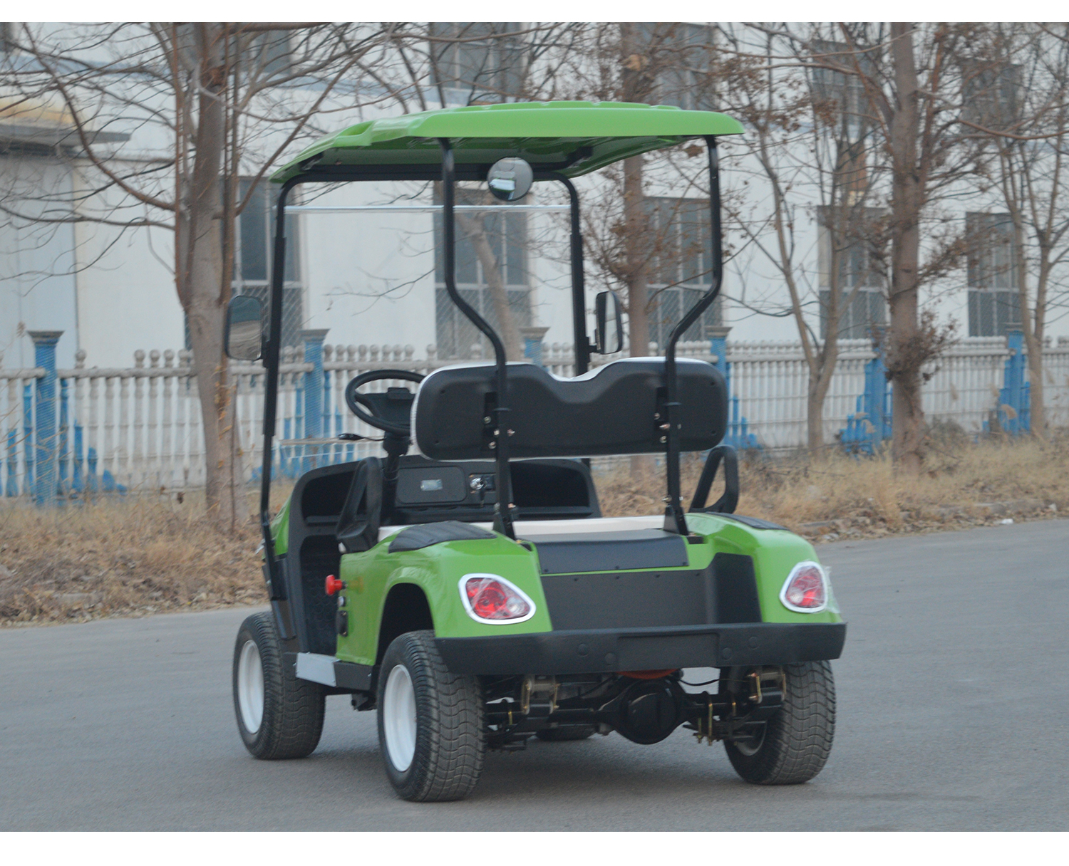 Electric Golf Cart Details