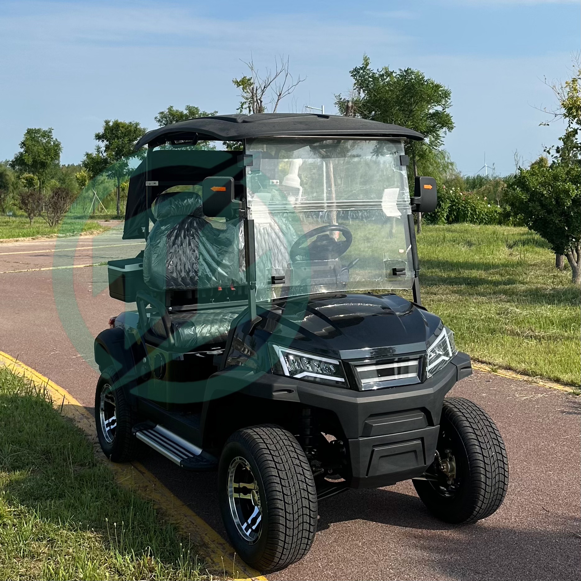 New Design 2 Seat Electric Golf Carts Electric with Lithium Battery China for Campus Use