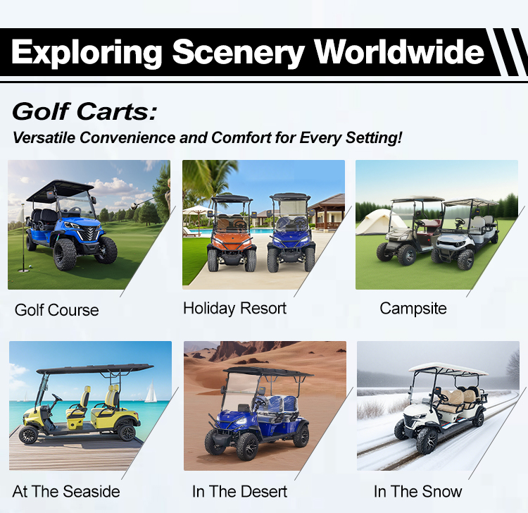 Golf Cart Detail 6