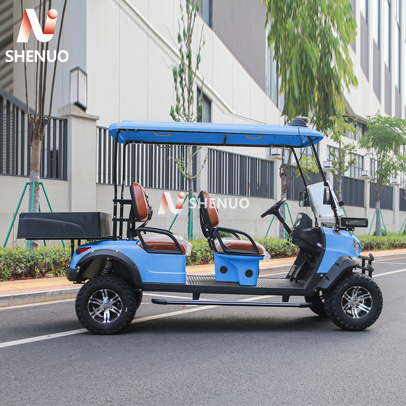 Certified Commercial Enclosure System Gas Powered Golf Cart Enclosed for Winter Resort Transport Fleets