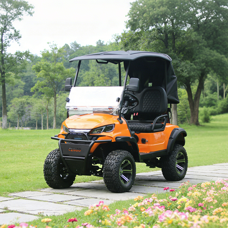 Customizable 2-seat Passenger Electric Golf Cart with a Range of 95 Kilometers, 48V Electric Golf Hunting Car