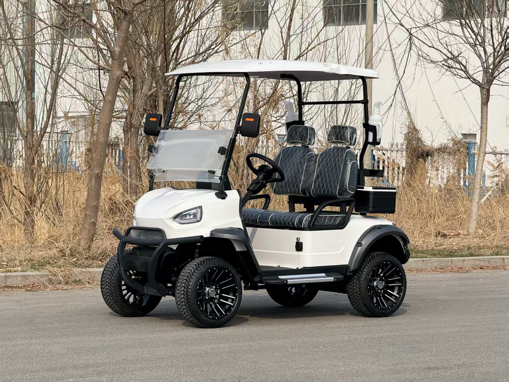HuSurg EEC Certified 8-Seater Electric Golf Cart 4250x1200x1950mm Dimensions 30km/h Speed Spacious Design