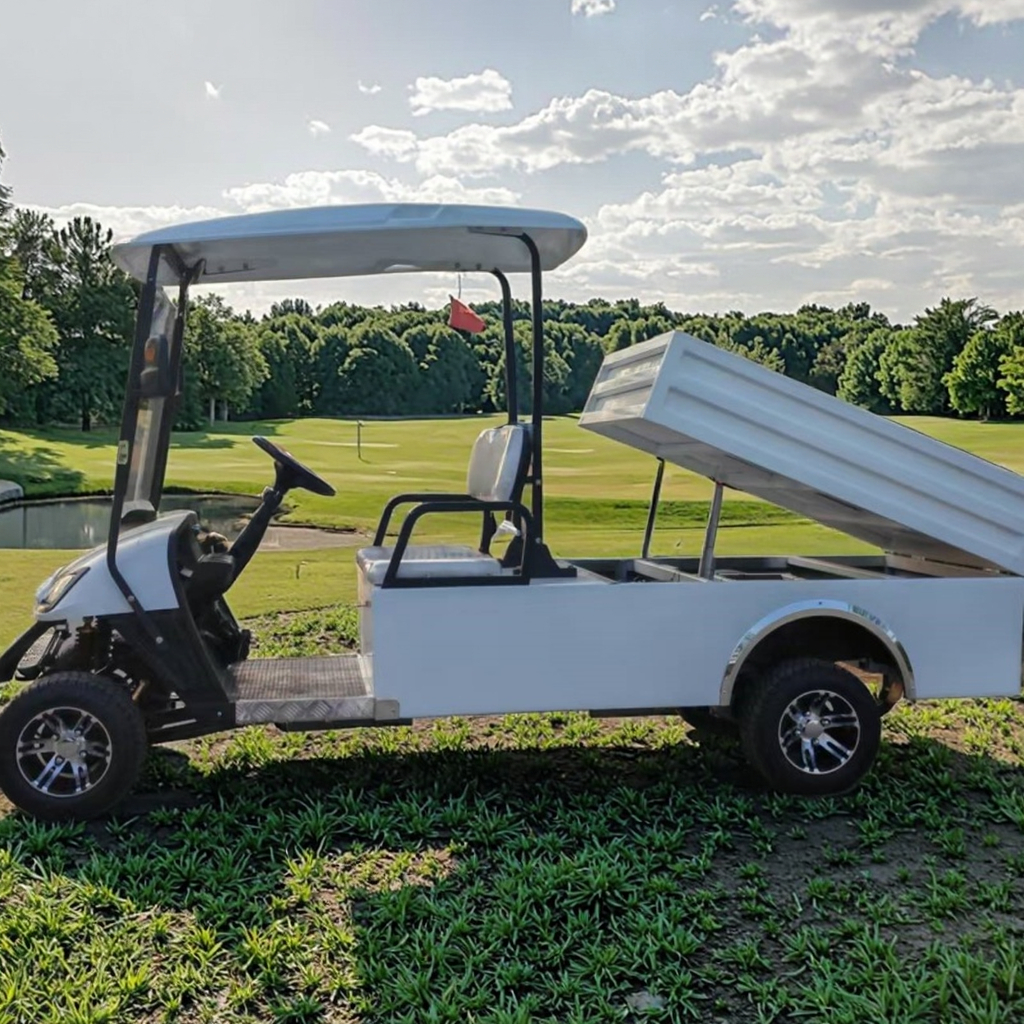 JG Factory Sale 5kw Motor off Road Electric Golf Car with Disc Brake CE and DOT Gas Car Golf Cart Golf Carts with Cargo Box