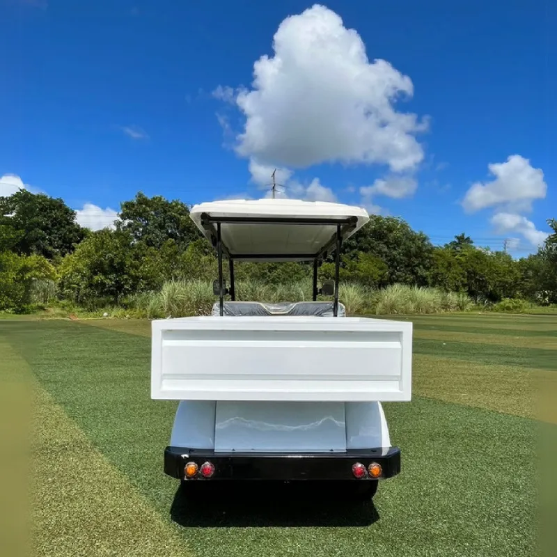 4 Passengers Tourist Car Electric Golf Cart Front Angle View