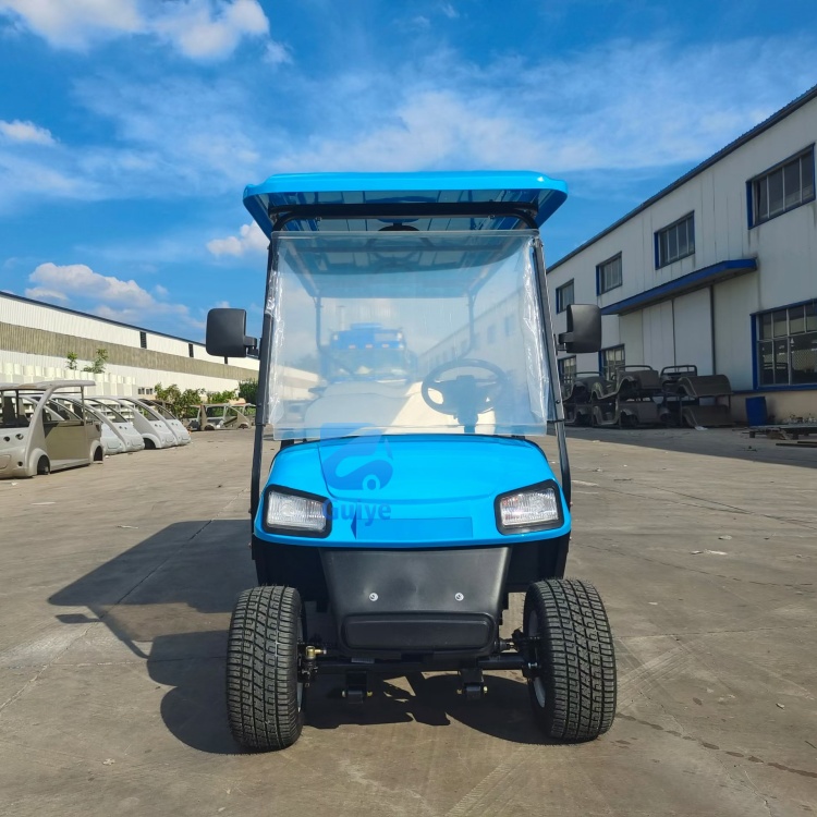 Premium Custom Electric Off-Road Golf Cart Customized Professional Design Mini Electric Golf Cart for Outdoor Golf Play