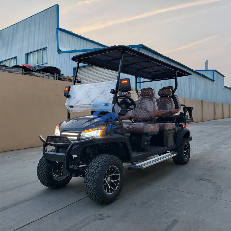 Premium Custom Electric Off-Road Golf Cart Customized Professional Design Mini Electric Golf Cart for Outdoor Golf Play