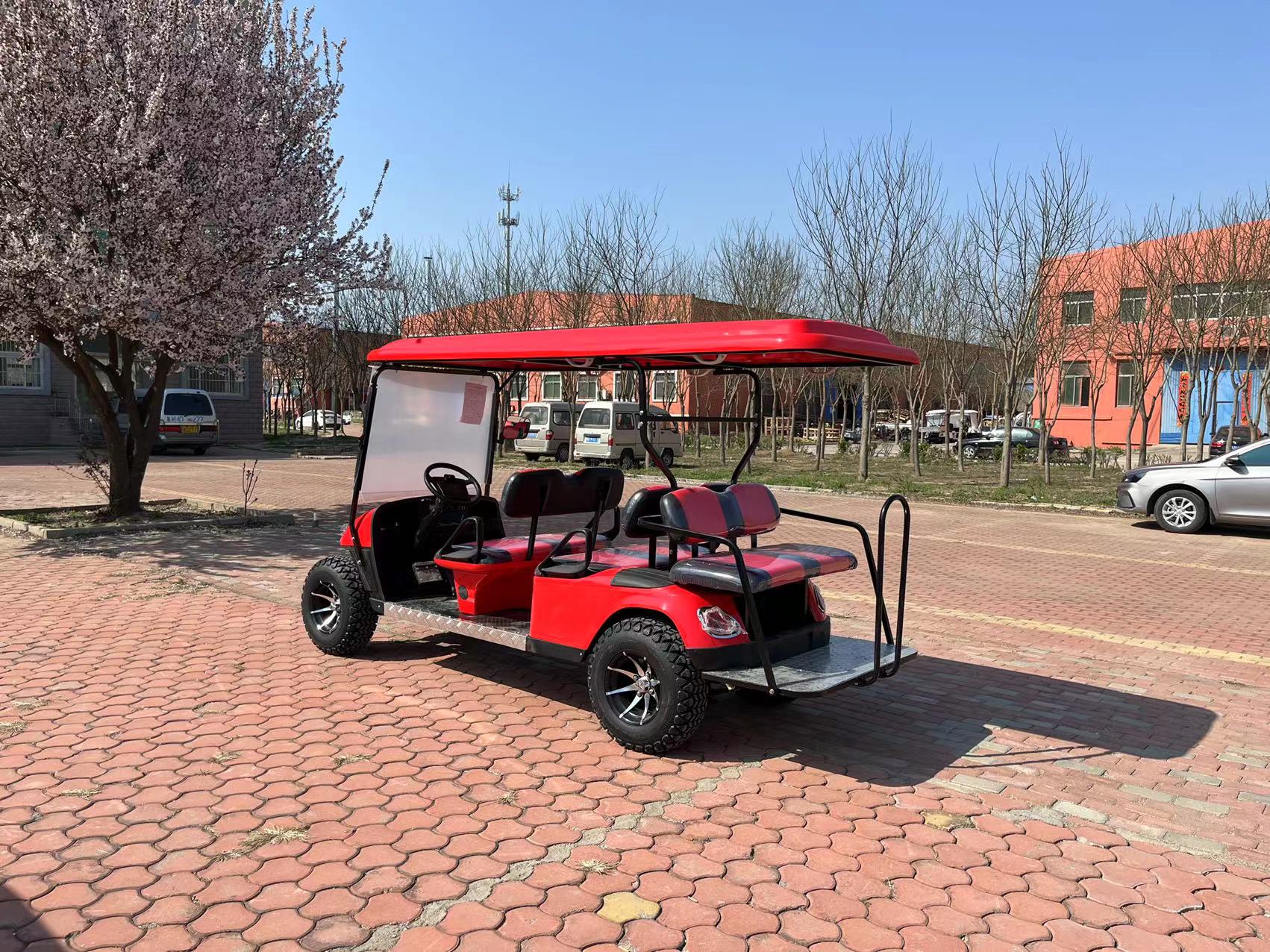 4+2 Seats ELECTRIC GOLF CARTS 6 Seaters 6 Passenger Electric Golf Cart 4 Wheel Drive Golf Cart