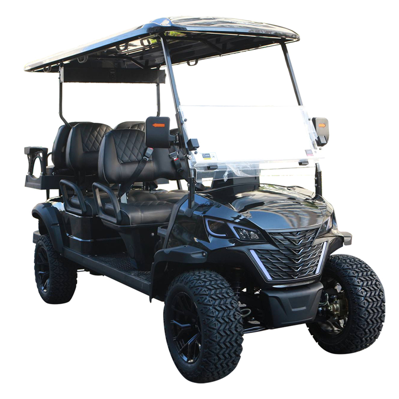 2025 Premium Electric 6-Seater Golf Cart with 50-70km Range for Family and Friends