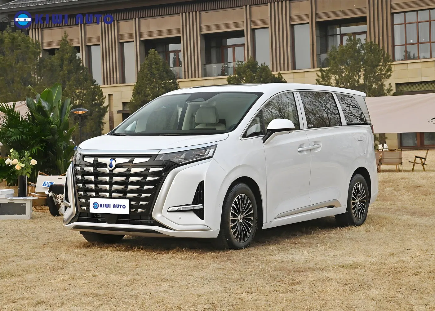 Tengshi D9 Phev Electric Auto Byd Denza D9 Dm China MPV Long Range New Used Vehicle