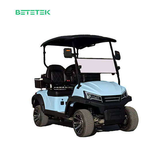 Customized 2 Seaters High Quality Electric Golf Classic Vintage Golf Cart Customized Carts Auto Electric Vehicle Car