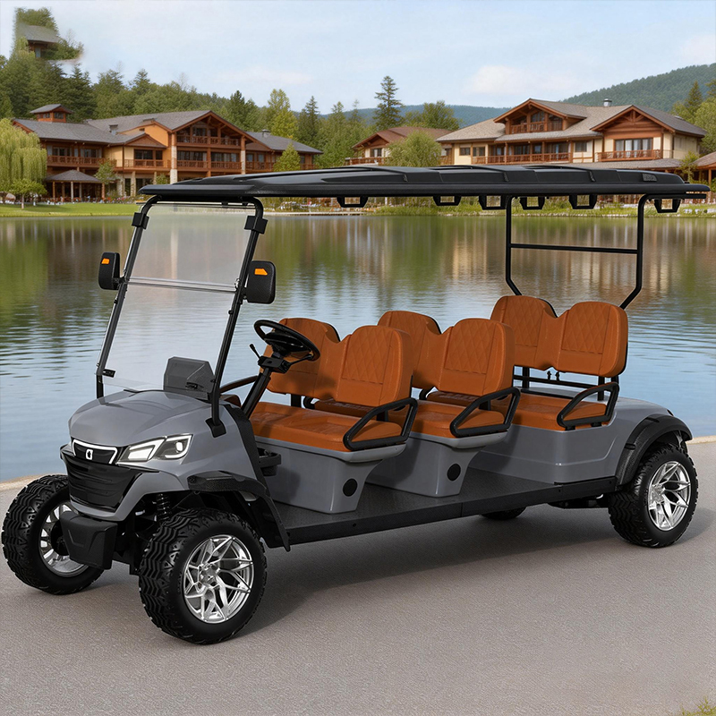 WOLAN Custom 6 Seater Street Legal Buggy Lifted Seats Electric Golf Cart WE6 Model 5KW Motor 60V Battery Off-Road Tires