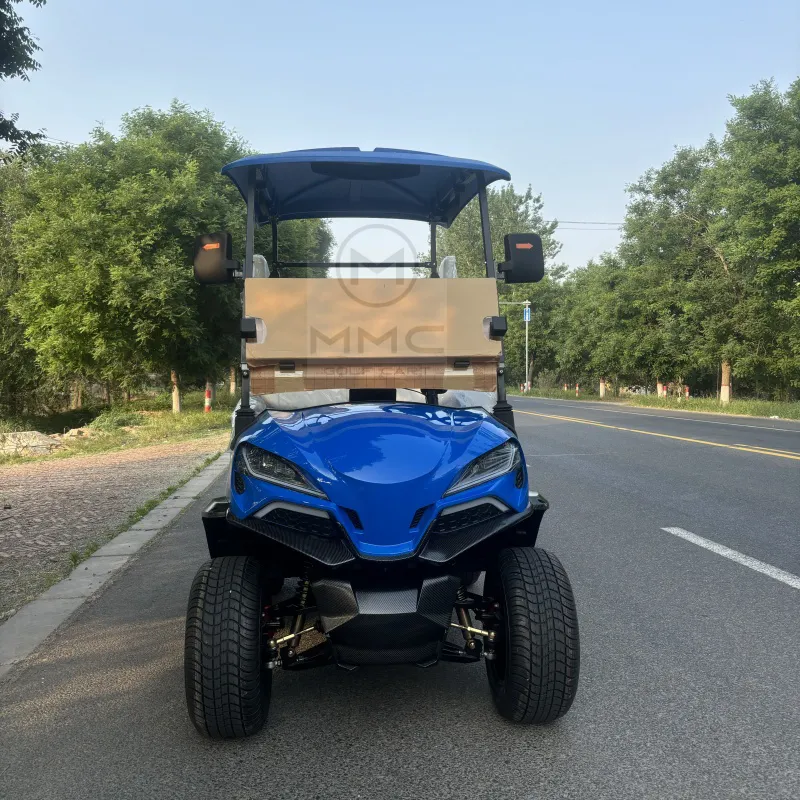 Chinese off Road Electric Folding Gocart 48V Electric Cart for Adults 72V 200ah Lithium Hunting Golf Carts Electric
