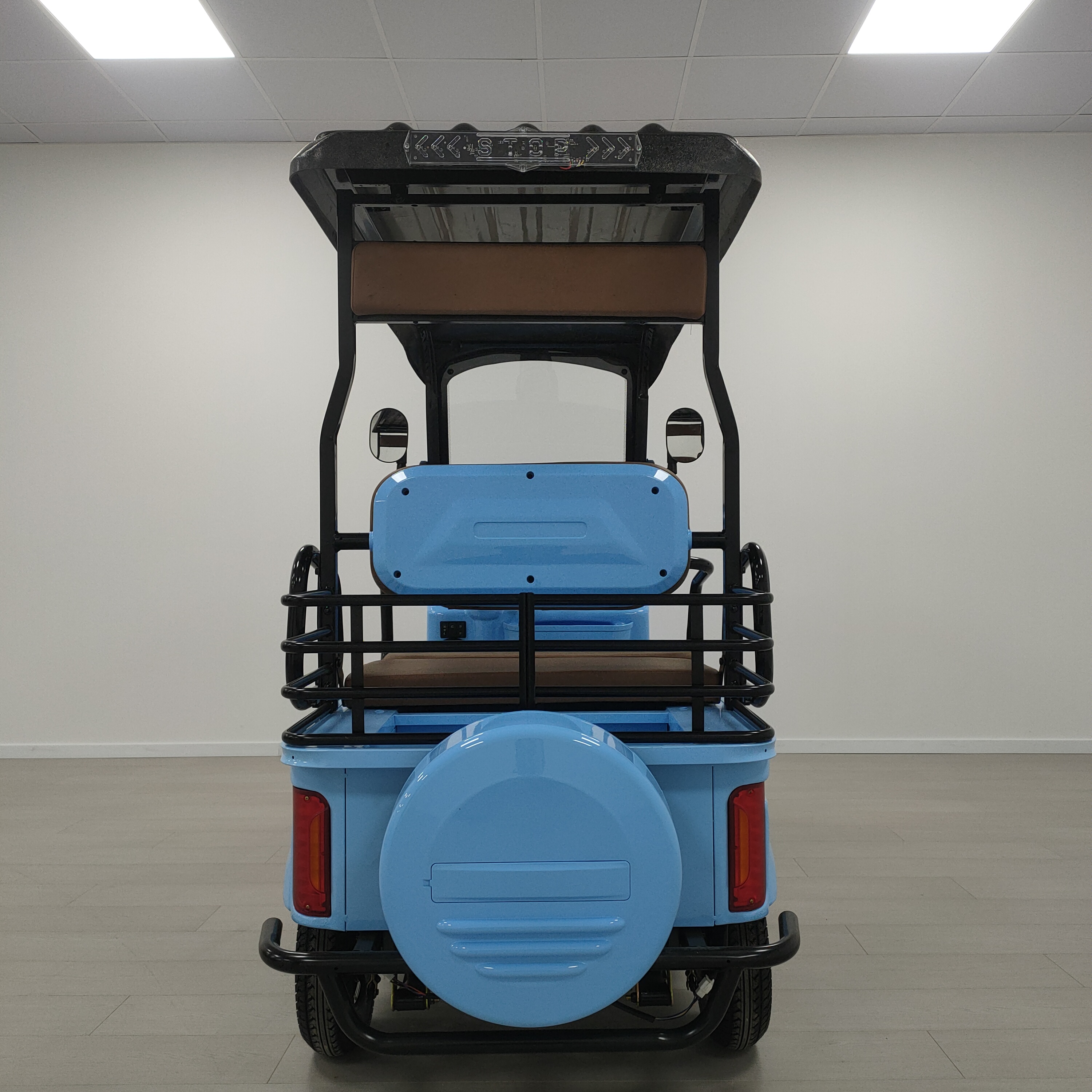 Electric Golf Cart Detail 6