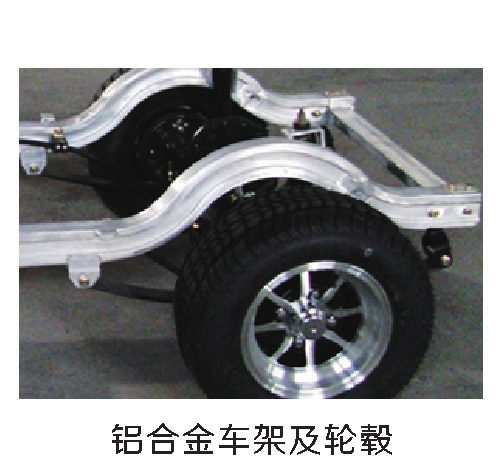 Customized Electric Golf Cart Option 3