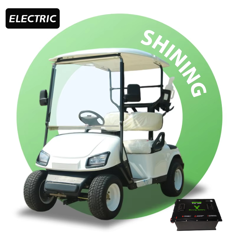 Shininglsv Cart Enclosure Rain Curtain Utility Car Mini 2 Seater Golf Cart
