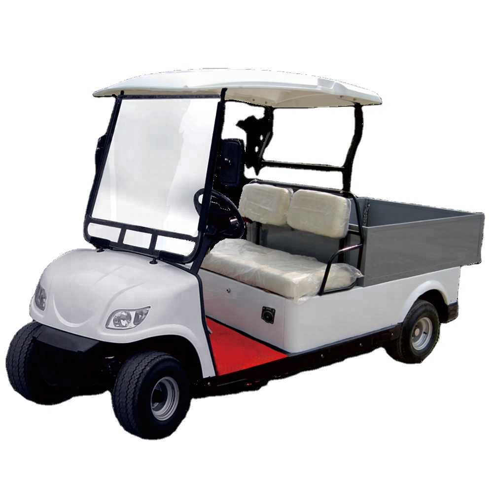 Wholesale 2 Seater Utility Truck Mini Vehicles Electric Golf Cart Cargo Electric Golf Cart
