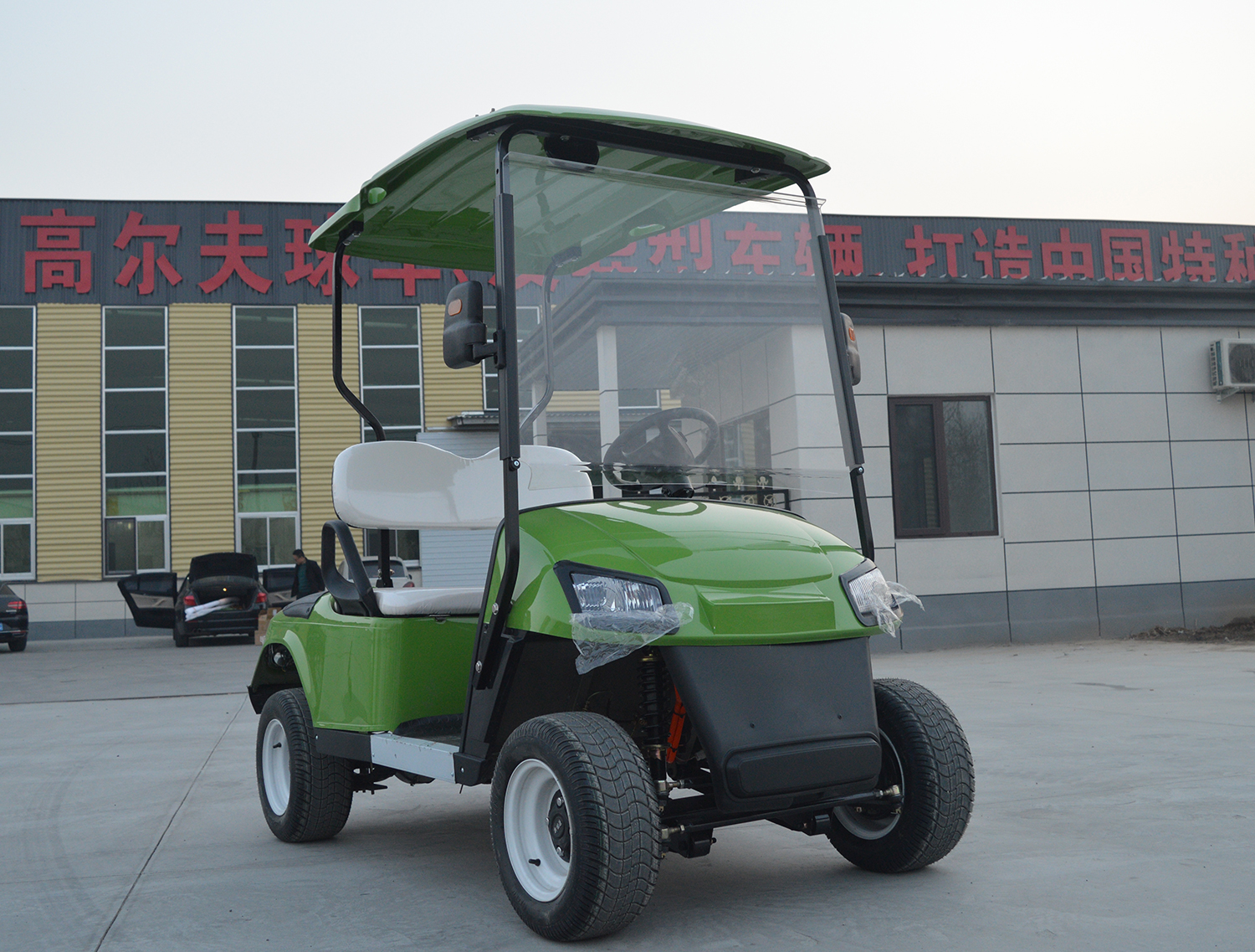Electric Golf Cart Side Panel