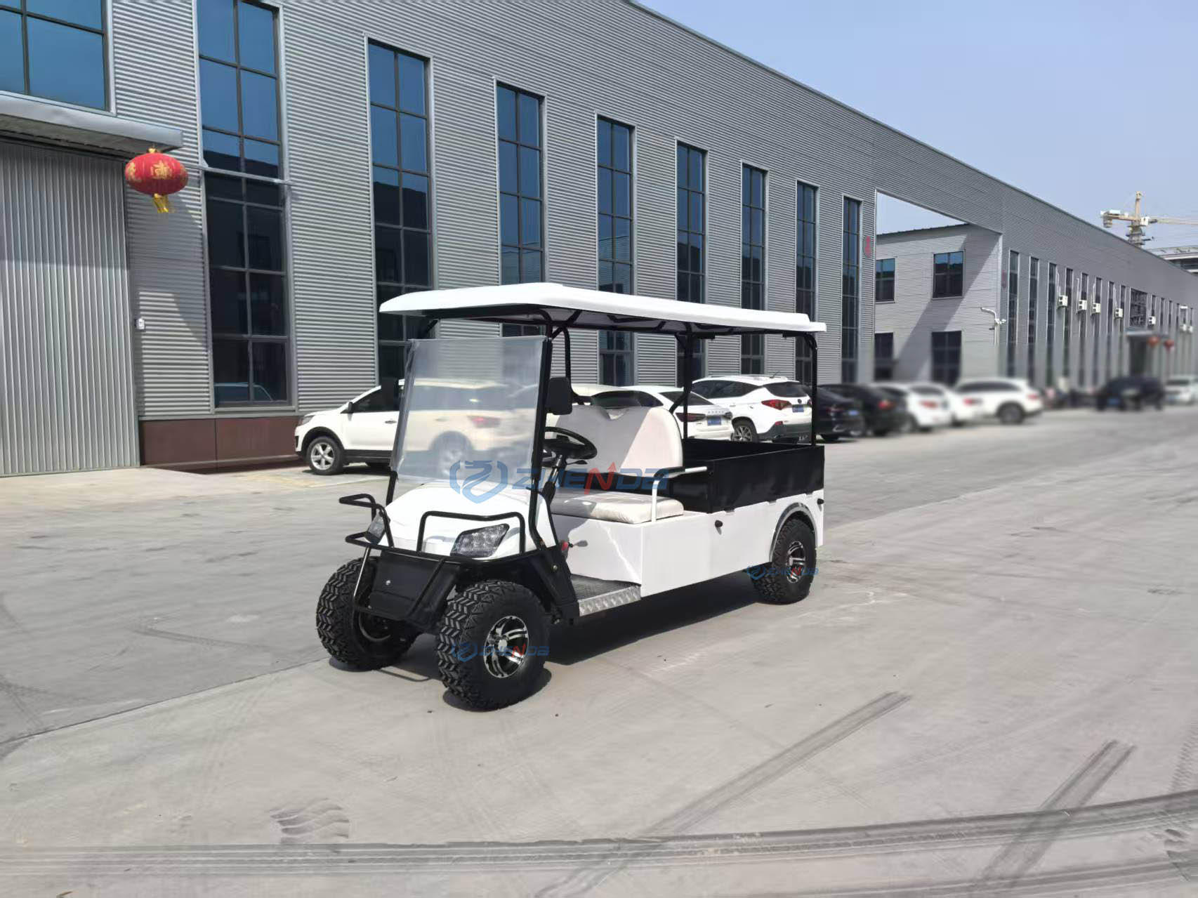 Electric Golf Cart