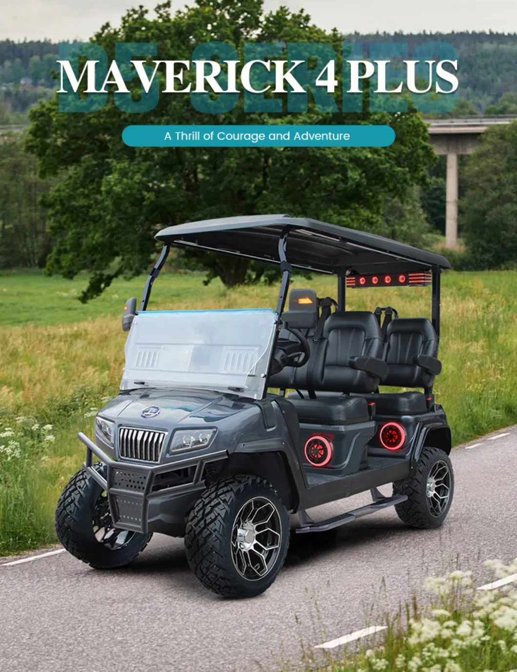 Factory New Hdk Evolution Electric Lithium Battery D5 4 Seater Golf Cart