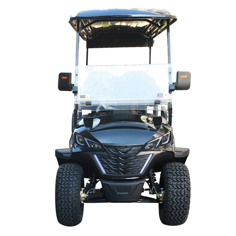 2025 Premium Electric 6-Seater Golf Cart with 50-70km Range for Family and Friends