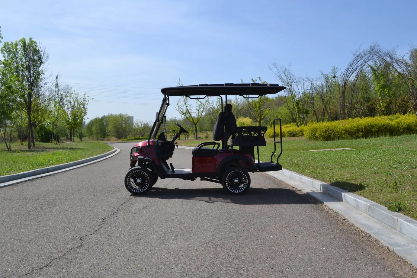 Electric Golf Cart Showcase 1