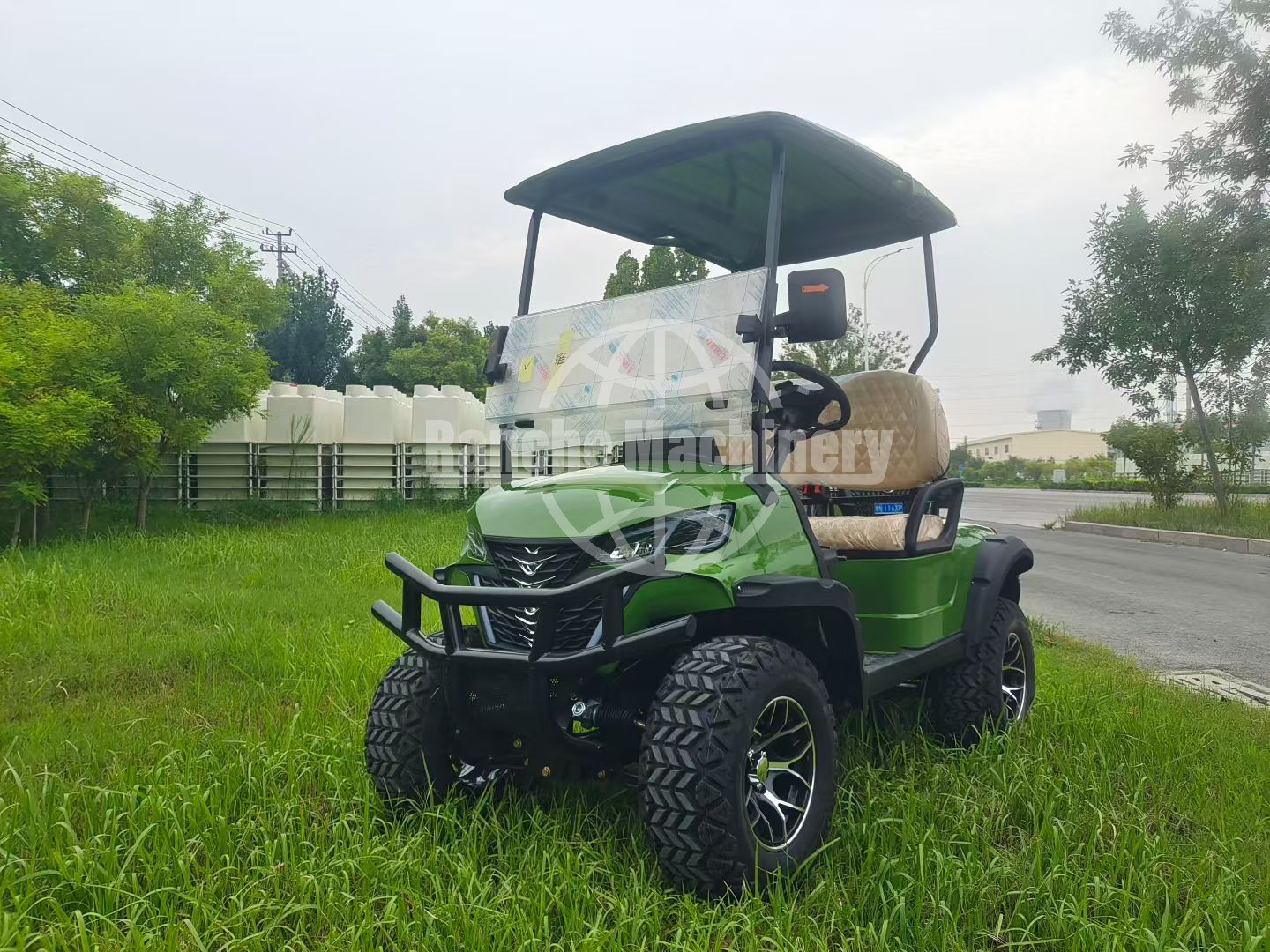 Electric 2 Seater Golf Cart with Cargo Box with 18x8.5-8 8 inch Tire