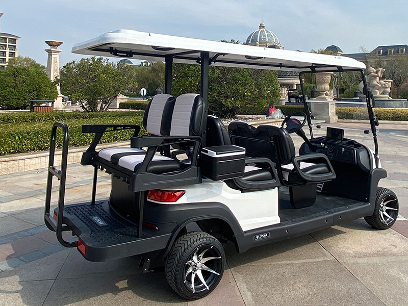 Custom Golf Carts CE Certified 5KW Motor for EU/US Leisure &amp; Patrol Use Golf Carts for Sale