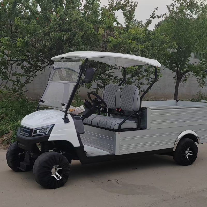 JG Off-Road 4-Stroke Gasoline Golf Cart 2-Seater Front Disc Brakes CE Certification 150-200mm Minimum Ground Clearance for