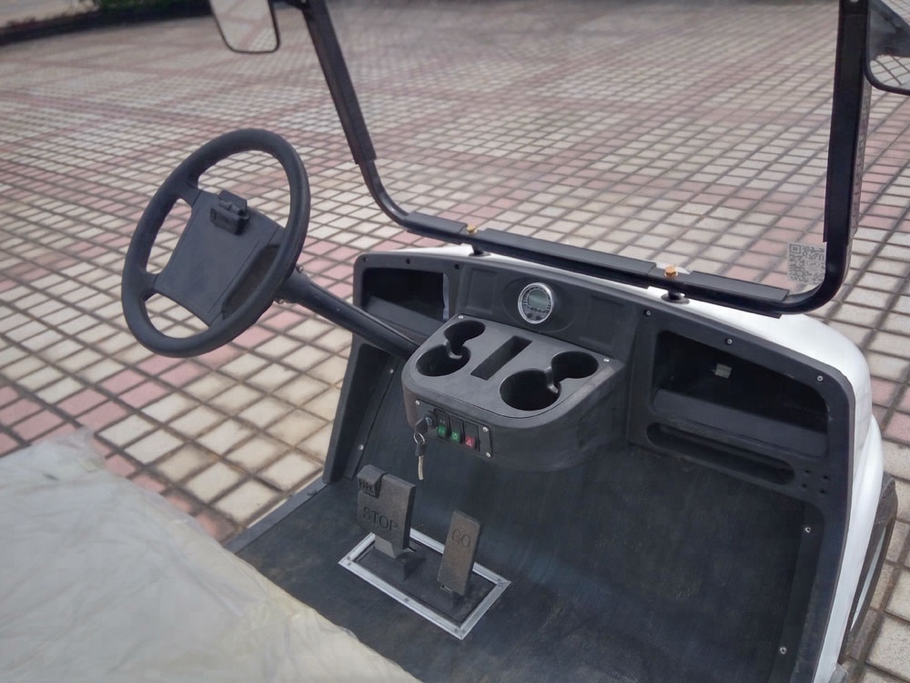 Wholesale 2 Seater Utility Truck Mini Vehicles Electric Golf Cart Cargo Electric Golf Cart