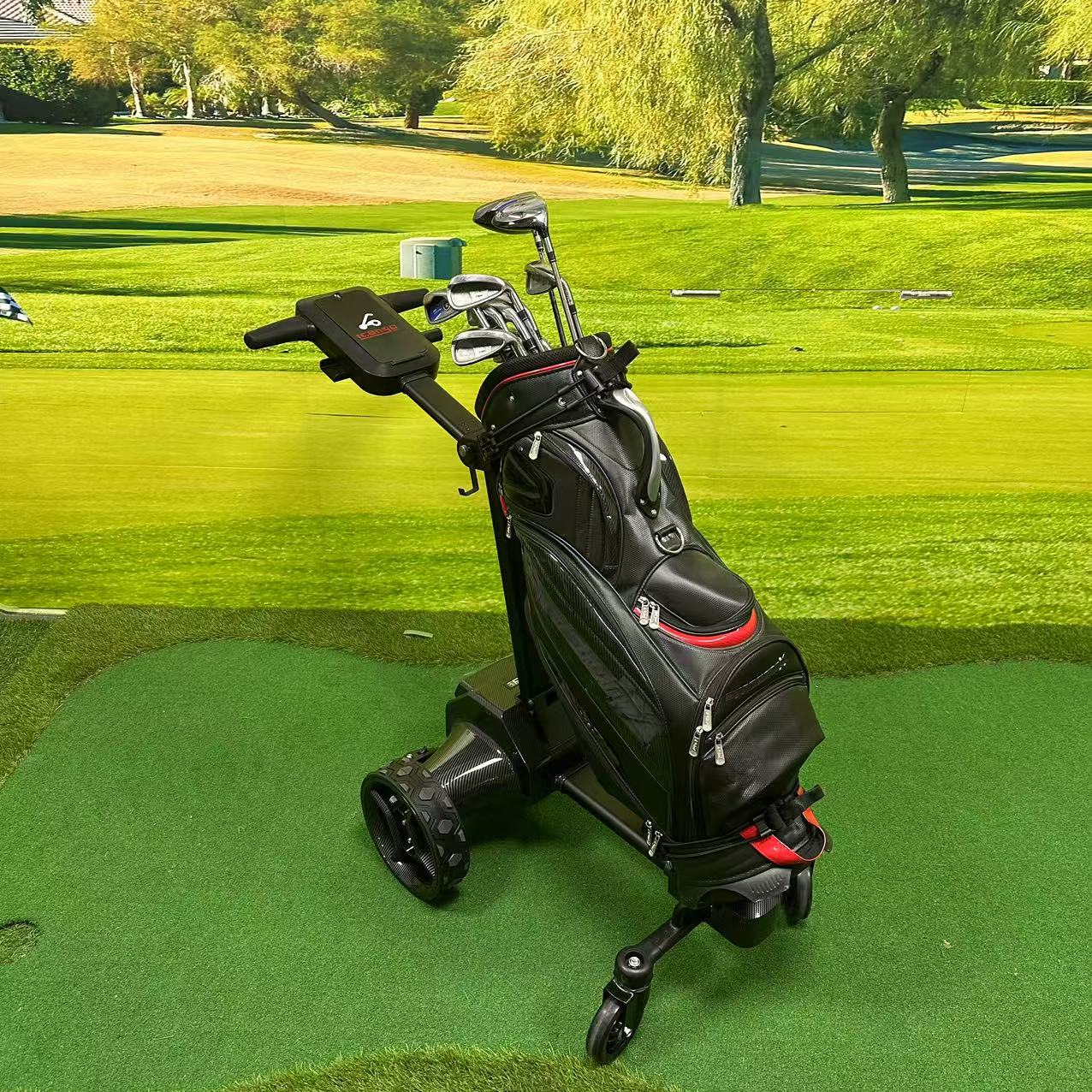 Customized Remarkable G5 Electric Golf Carts Auto-cruise Smart Following Electric Golf Trolleys for Golf Clubs and Courses