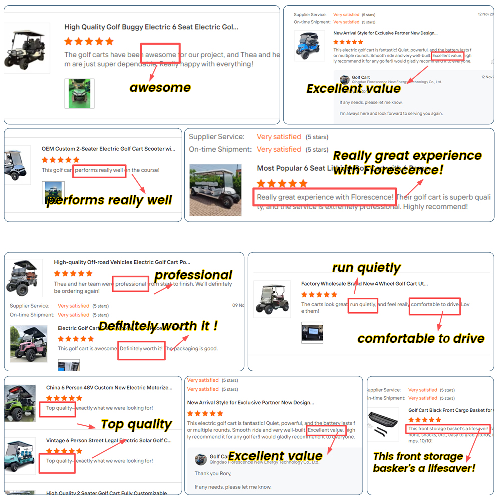 Customer Reviews and Feedback