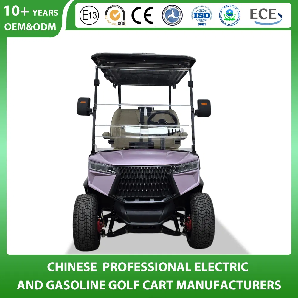 6+2 Seater 8 Passenger Lithium Sightseeing Hunting off Road Club Car Street Legal Utility Mini Tourist Solar Panel Trolley Lead Acid Gas Powered Golf Cart