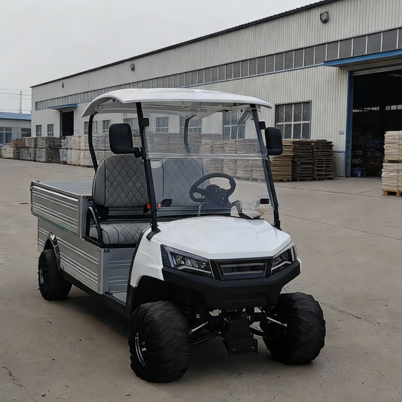 JG Off-Road 4-Stroke Gasoline Golf Cart 2-Seater Front Disc Brakes CE Certification 150-200mm Minimum Ground Clearance for