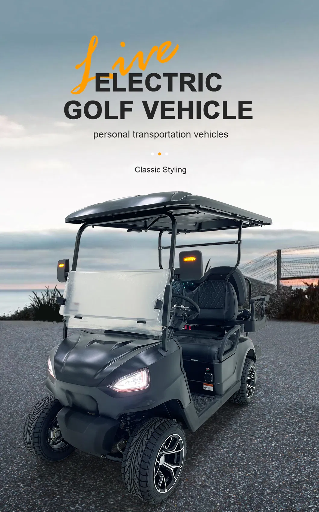 Stylish Look Anti - Roll Bars Electric Golf Cart for Camping Access